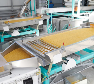 food industry efficiency consulting